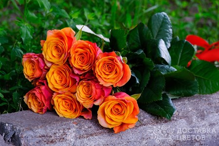 Букет из 9 оранжевых роз "Испания"
